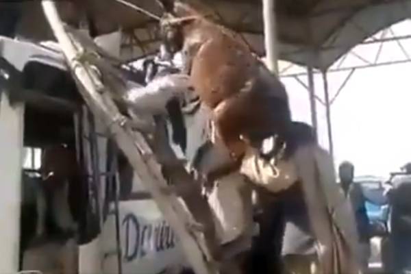 ஹய்யோ சோப் ஹய்யோ சோப்