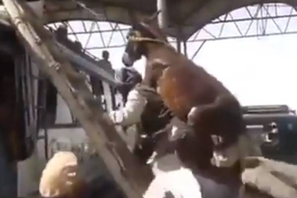 பிழியும் சோகம் பிழியும் சோகம்