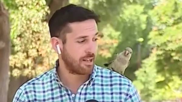 ஹெட்செட் பயன்பாடு 