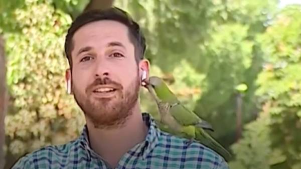 இயர்போன் 