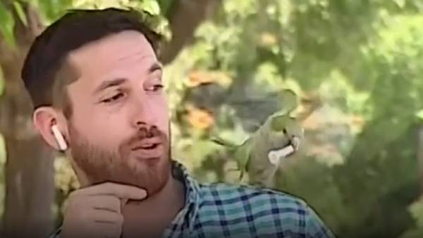 லட்சக்கணக்கான பார்வைகள் 