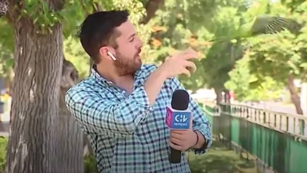 இணையத்தில் பரவும் வீடியோ 