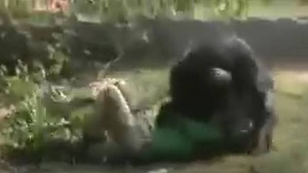 3 பேரும் கவலைக்கிடம்.. 