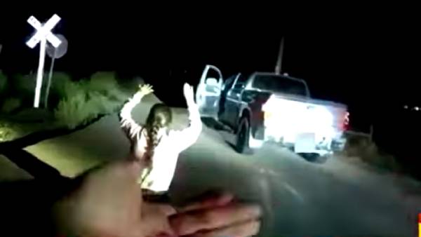 துப்பாக்கியை எடுத்து மிரட்டிய பெண்.. துப்பாக்கியை எடுத்து மிரட்டிய பெண்..