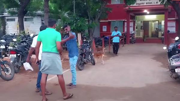 அரெஸ்ட் ப்ளீஸ்.. 