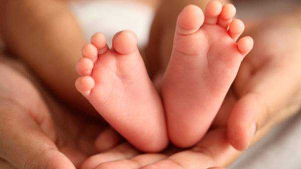  எலிபேஸ்ட்