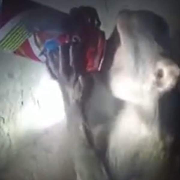 மகா குடிகாரன் போல.. 