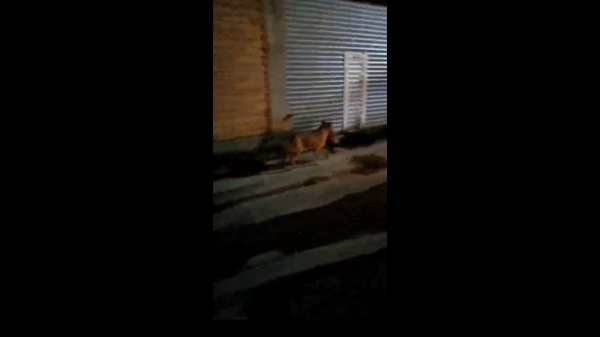 தலை சாப்பாடு தலை சாப்பாடு