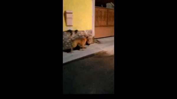 நோட்டீஸ் போர்டு நோட்டீஸ் போர்டு