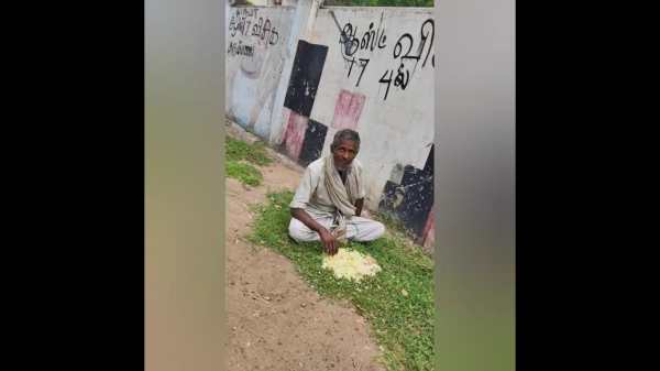 கோழி கடை 