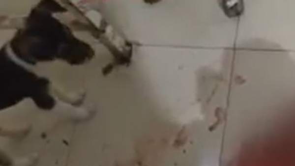 வெளியான வீடியோ வெளியான வீடியோ