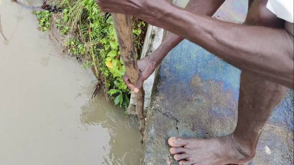  நீரில் மூழ்கும் பயிர்கள் 