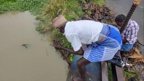 விவசாயிகள் வேதனை 