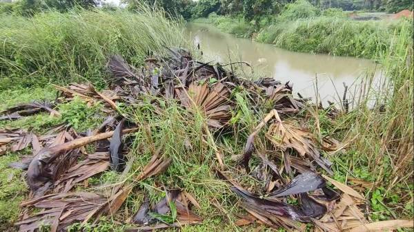 வயல்களில் சூழ்ந்திருந்த தண்ணீர் 