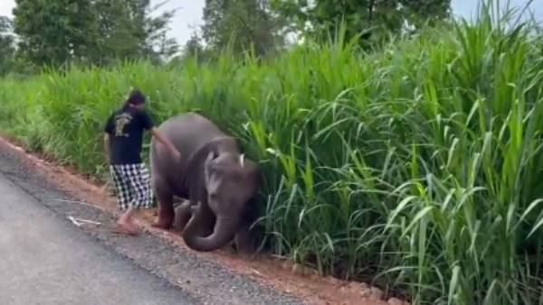 மீட்க உதவி 