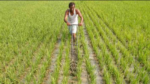 பயிர் வாரியான விபரம் பயிர் வாரியான விபரம்