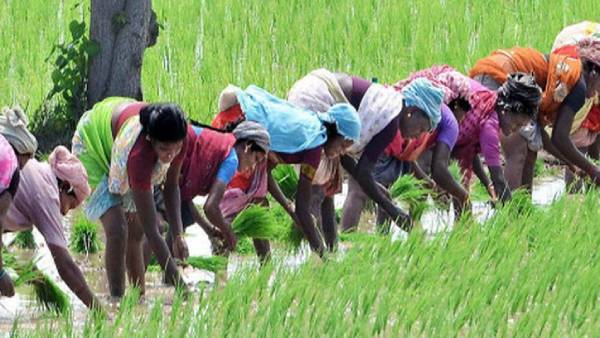 தோட்டக்கலை இயக்கத்தின் நோக்கம் தோட்டக்கலை இயக்கத்தின் நோக்கம்