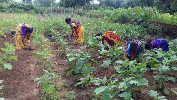 எவ்வளவு மானியம்? எவ்வளவு மானியம்?