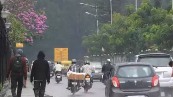 முறிந்து விழுந்த மரம் முறிந்து விழுந்த மரம்