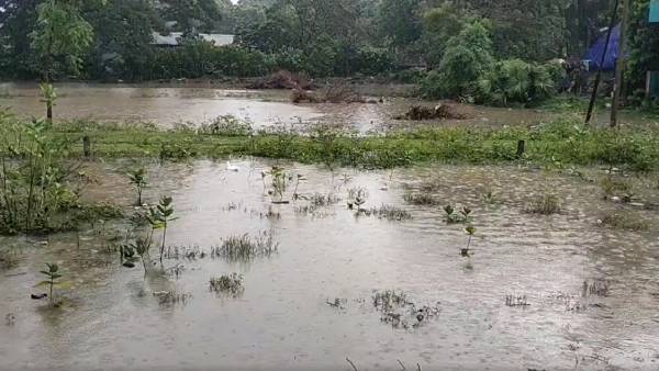 மயிலாடுதுறை மாவட்டம் பாதிப்பு 