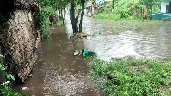 மழை பாதிப்பு