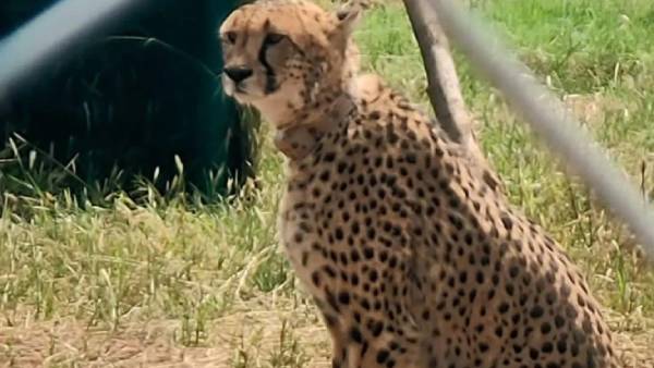  குழப்பம்