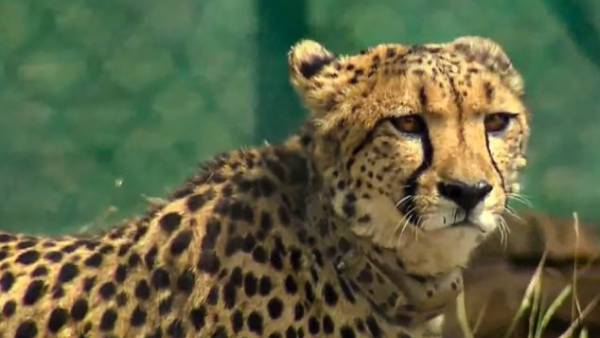  கரு கலைந்தது