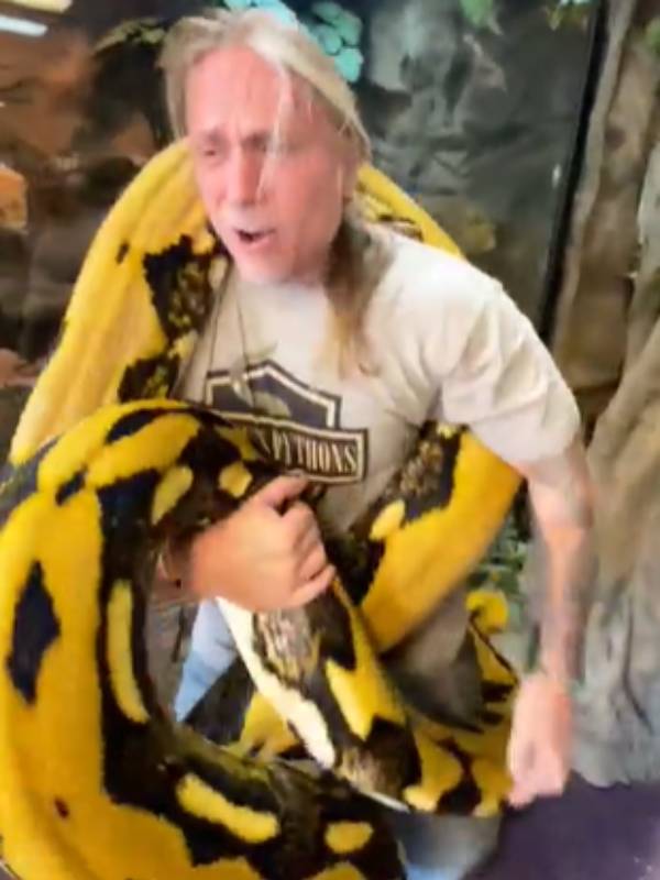  மடி மீது மலைப்பாம்பு