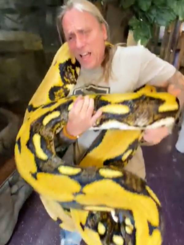  நார்மல் சைஸ் 