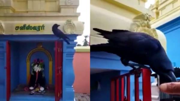  கிரில் கேட்