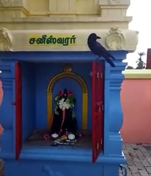  27 நட்சத்திரம்