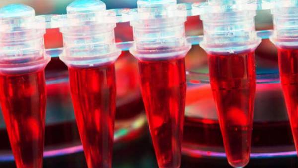 Lab-grown blood given to humans in world-first clinical trial Lab-grown blood given to humans in world-first clinical trial