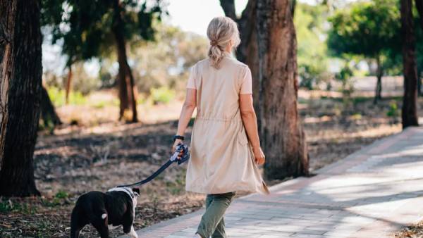 லிபிட் புரபைல் 