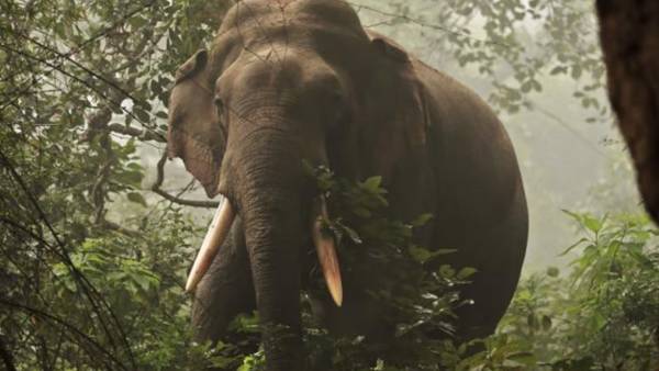  சாராயம் காய்ச்சுவதற்காக.. 