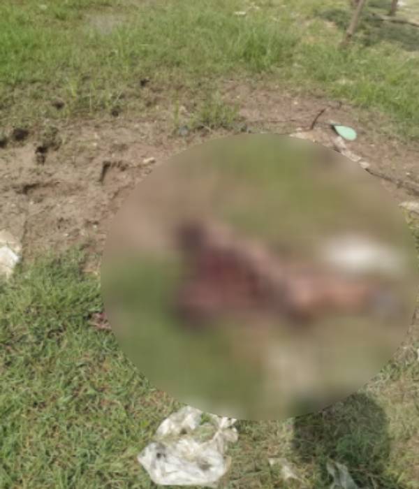 சிதறிய உடல் பாகங்கள் 