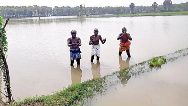 மழை பாதிப்பு 