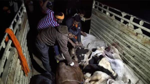 வழிப்பறி 