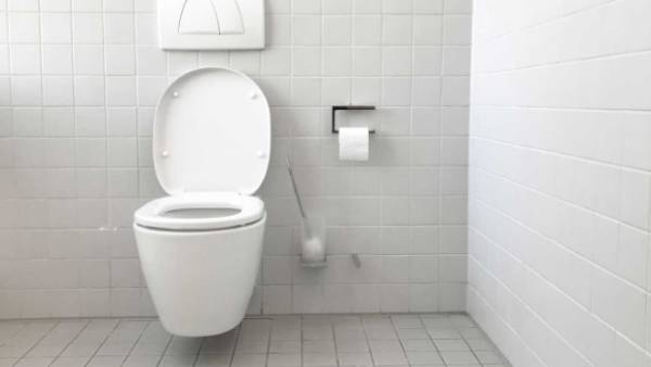 டாய்லெட் டாய்லெட்