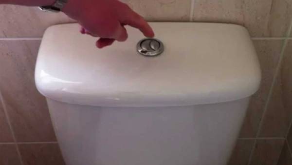 அரசு விதி இல்லை அரசு விதி இல்லை