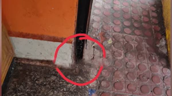 இரும்பு ஷட்டரில்.. 