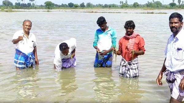  விவசாய நிலங்களில் தண்ணீர் 