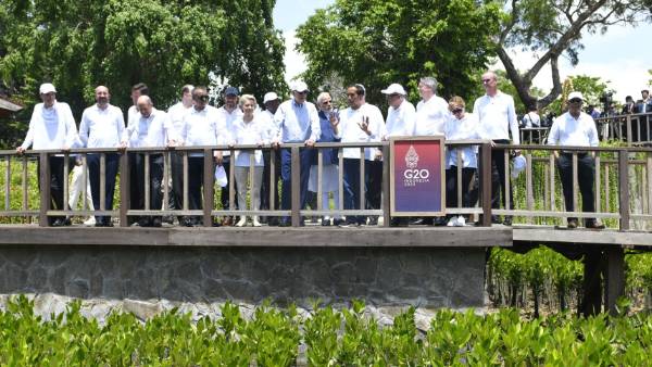  மாங்குரோவ் காட்டில் விசிட்