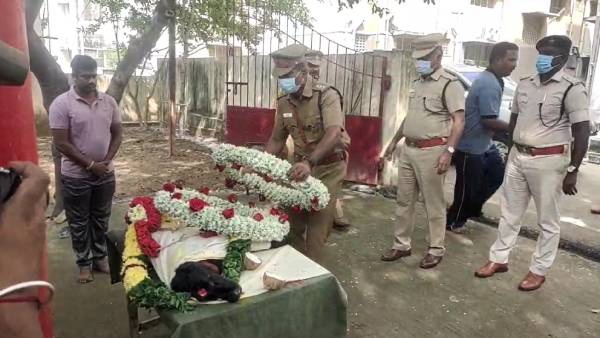 மோப்ப நாய்கள் அஞ்சலி மோப்ப நாய்கள் அஞ்சலி