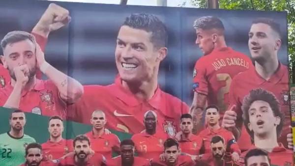  கொடியால் விழுந்த அடி