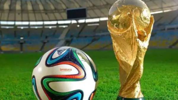  8 குழுக்கள்