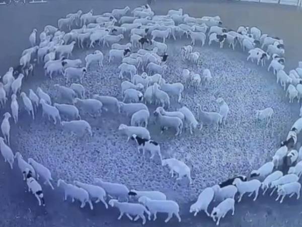 அமானுஷ்யம் 