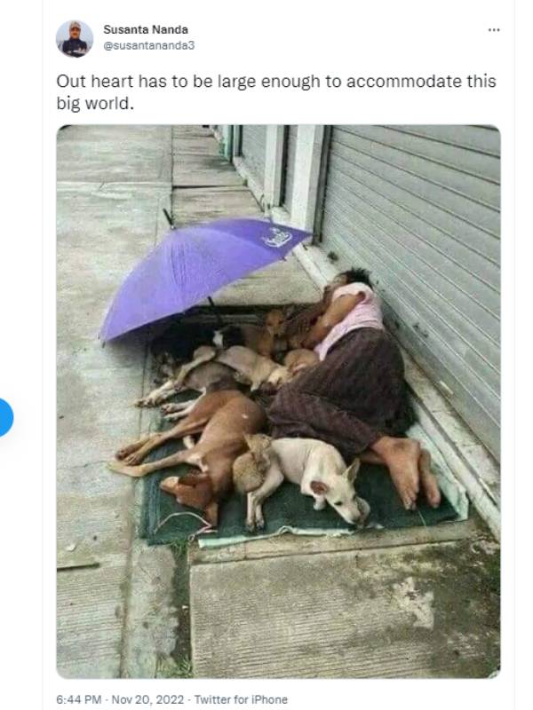 குட்டி பெட்ஷீட்