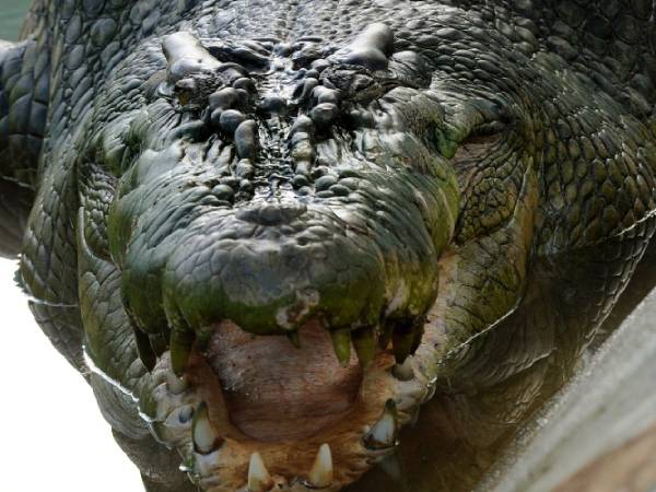  மலைக்க வைக்கும் கண்டுபிடிப்புகள்.. 