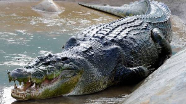 9 கோடி ஆண்டுகளுக்கு முன்.. 