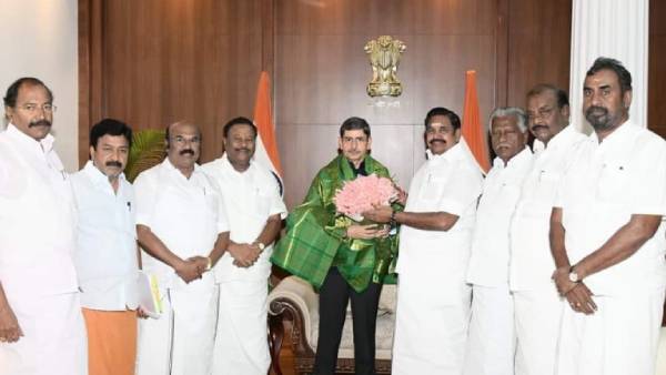 புளுகுமூட்டை, காந்தாரி புளுகுமூட்டை, காந்தாரி